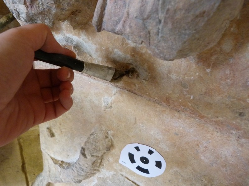 Atelier Giordani - Conservation - Restauration
Edifice – Mobilier - Sculpture – Objets d’art – Moulage –
Pierre, bois métal, polychromie et dorure - Conservation restauration du Portail royal Sud de la Cathédrale Saint Julien - Pierre polychrome - - Dessalements ponctuels
- Dépoussiérage soigneux
- Refixage des vestiges de polychromie
- Nettoyage par micro-gommage
- Nettoyage par désincrustation photonique
- Consolidation chimique de la pierre
- Renforts structurels
- Purges et reprises des joints d'appareillages 
- Traitement des éléments métalliques
- Retouches ponctuelles
- Patine d'harmonisation