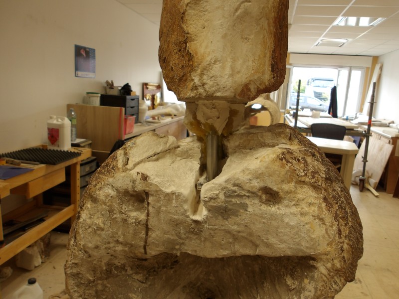 Atelier Giordani - Conservation - Restauration
Edifice – Mobilier - Sculpture – Objets d’art – Moulage –
Pierre, bois métal, polychromie et dorure - Dégagement d'une statue de St Jean-Baptiste en pierre - Pierre polychrome - -transport aller/retour en atelier
- Dégagement mécanique des surpeints sous lunettes binoculaire
- Purge des anciennes restaurations et reprise reprise au polyfila des zones à combler et modeler
- Scellement de la tête et de la terrasse par goujon en inox et colle Hilti
- Retouche colorée
- Repose et fixation