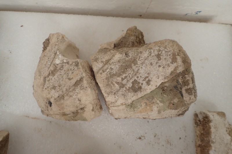 Atelier Giordani - Conservation - Restauration
Edifice – Mobilier - Sculpture – Objets d’art – Moulage –
Pierre, bois métal, polychromie et dorure - Restauration de deux statues de l’église de Saint-Etienne - Restauration de deux statues retrouvées enfouies dans la terre dans l’église Saint-Etienne de Mareil Marly - OPÉRATIONS RÉALISÉES : 

- Nettoyage et élimination minutieuse des dépôts de terre dus à l’enfouissement. 
- Fixage de la polychromie écaillante. 
- Élimination des anciennes tiges métalliques oxydées servant originellement de liaisonnement. 
- Élimination d’efflorescence de plâtre sur la statue de Saint Etienne. Assemblage des fragments, comblements des lacunes du support et ragréages.
- Dégagement de la polychromie par clivage au scalpel sous lunettes binoculaires après la réalisation d’études stratigraphiques préalables, réintégrations colorées et retouches.
- Réalisation de socle peint en ton pierre pour la présentation des statues et repose sécurisée de celles-ci à leur nouvel emplacement au sein de l’église.