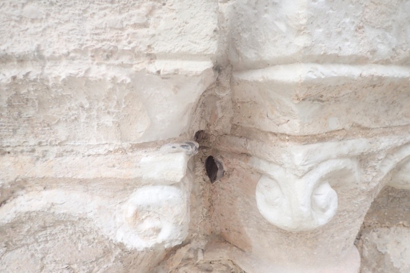 Atelier Giordani - Conservation - Restauration
Edifice – Mobilier - Sculpture – Objets d’art – Moulage –
Pierre, bois métal, polychromie et dorure - Restauration des ruines des bâtiments conventuels et du chœur de l’église Notre-Dame -  - OPÉRATIONS RÉALISÉES
- Dépoussiérage
- Pré-consolidation
- Traitement biocide
- Nettoyage par micro gommage
- Nettoyage filmogène au latex
- Consolidation
- Purge des supports de ragréages
- Ragréages
- Estampage
- Bouchons sculptés
- Rejointoiement
- Collage, renforts et goujonnage
- Sculpture en pierre neuve
- Patine